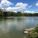 Central Park: An oasis in NYC