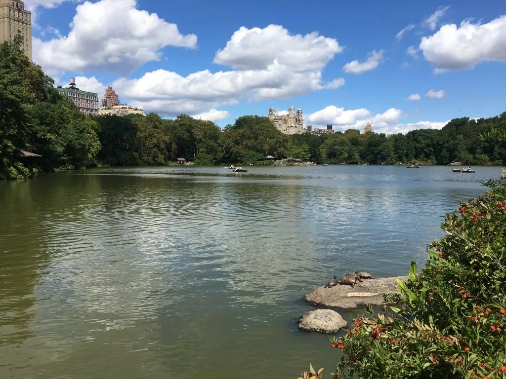 Central Park: An oasis in NYC