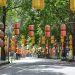 Vietnam in March: Hoi An Lanterns and the Hai Van Pass