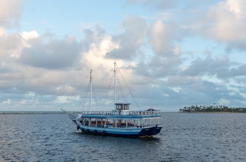 Cruise Vacation Lakshadweep India: Lakshadweep Cruise: How to Plan, Book, and Actually Get There