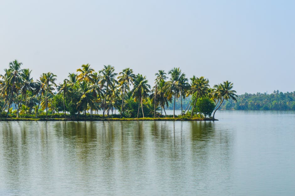 A serene tropical island with palm trees reflecting on a calm lake under a clear blue sky.