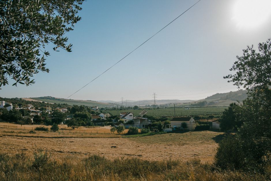 Scenic view of a peaceful rural village surrounded by fields and trees under a clear blue sky.