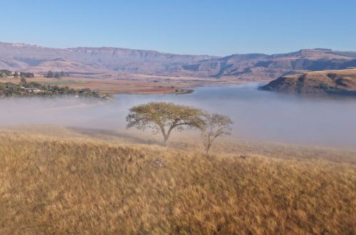 Luxury Resorts Yellowstone Montana: Luxury Resorts Near Yellowstone: Montana’s 5 Best in 2026