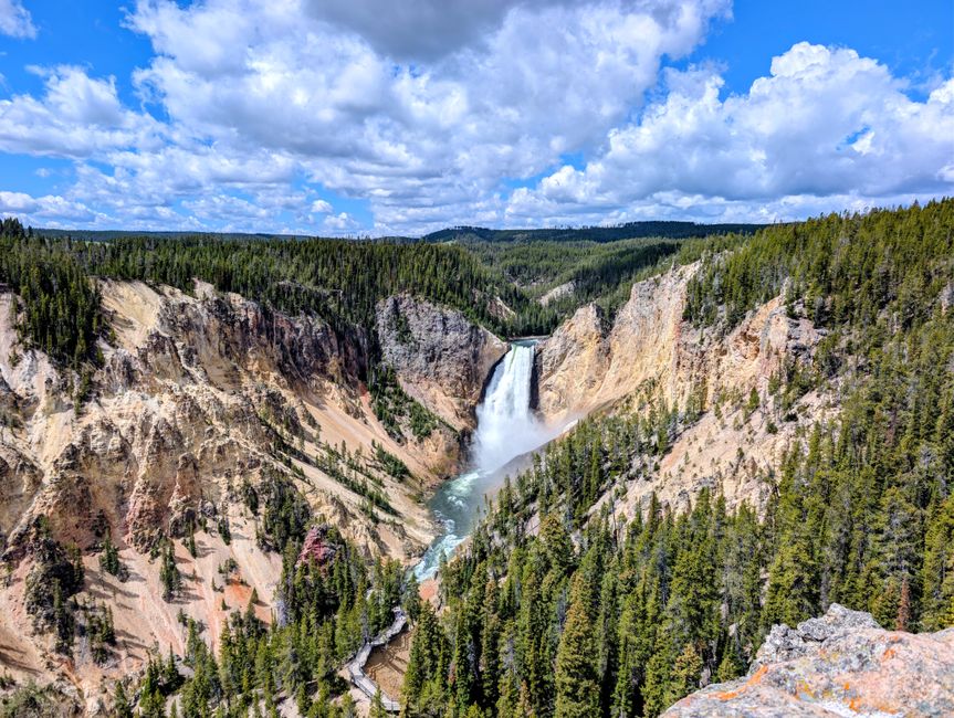 Scenic view of Lower Falls waterfall at Grand Canyon of Yellowstone, surrounded by lush forest under a blue sky.
