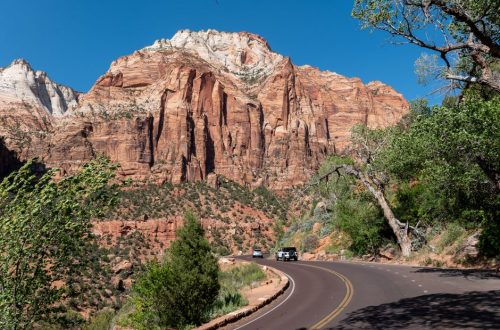 National Park Road Trip with Young Kids: Worth It or a Mistake?