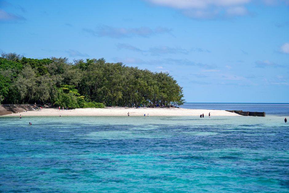 A tranquil beachscape with clear turquoise waters and green foliage, ideal for a tropical getaway.
