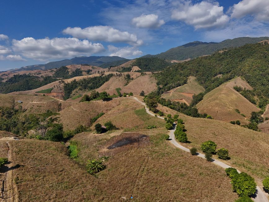 Northern Thailand in January: Choose Chiang Mai or Chiang Rai