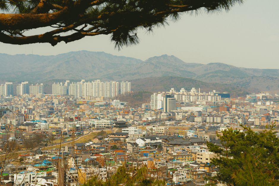 Discover Seoul's skyline with a blend of urban architecture and natural beauty.