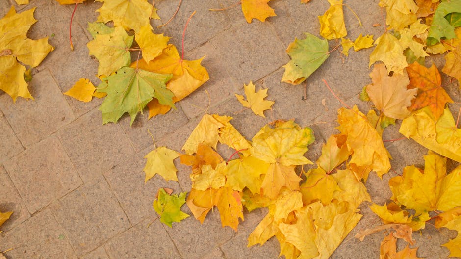 Bright yellow and green autumn leaves scattered on a brick path, evoking fall.