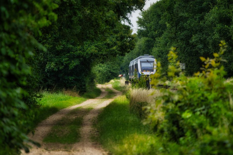 Summer Train Travel in the UK: Railcards and Quieter Routes