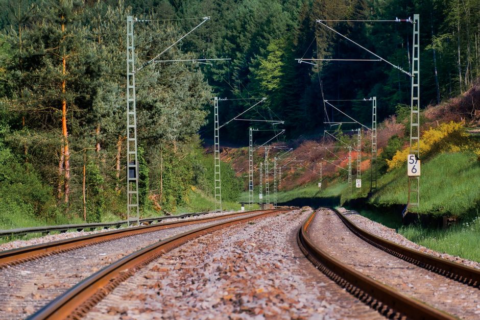 Railway track weaving through a dense, green forest, offering a serene transportation view.