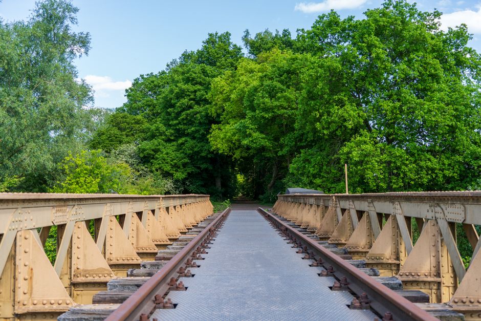 Explore the serene beauty of a railway bridge leading into a vibrant green forest under a clear blue sky.