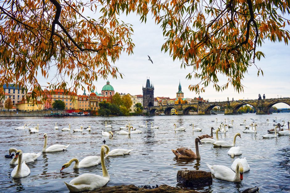 Winter City Break in Prague: Quiet Streets and Warm Beer Halls